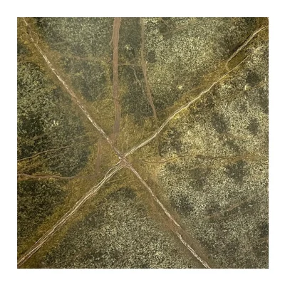 Mesa de Centro Mármol Exótico Green Rain Forest 100x60 cm4
